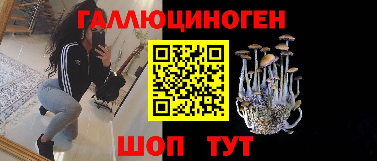 Псилоцибиновые грибы Magic Shrooms Чебоксары