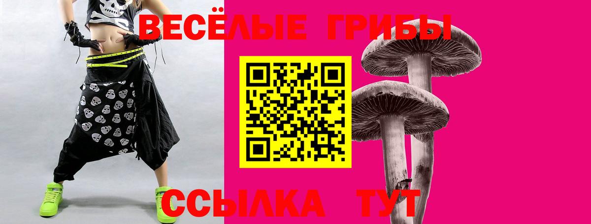 Галлюциногенные грибы Psilocybine cubensis  где купить   Чебоксары  Вход с VPN 